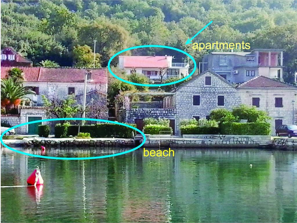 Apartment Cizek 科托尔 客房 照片