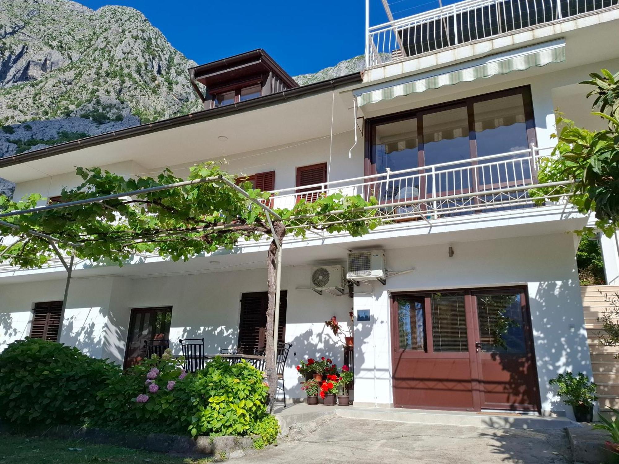 Apartment Cizek 科托尔 外观 照片