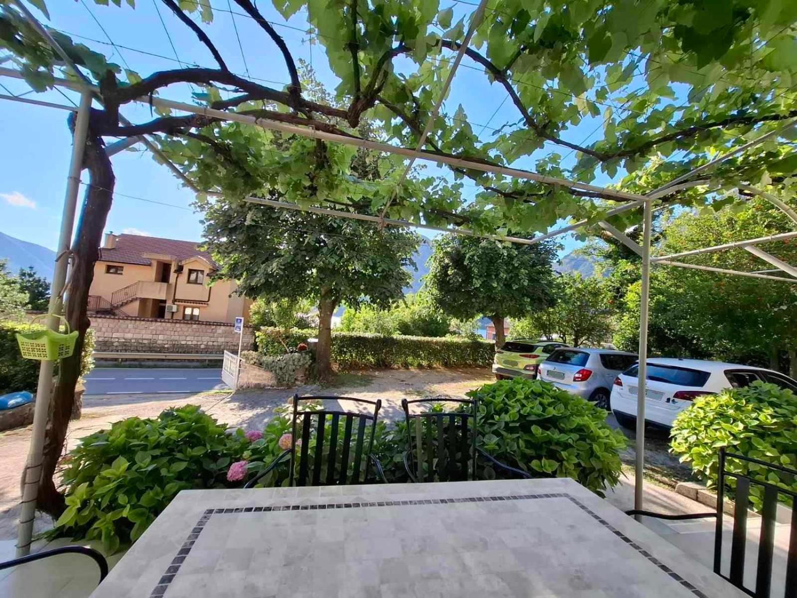 Apartment Cizek 科托尔 外观 照片
